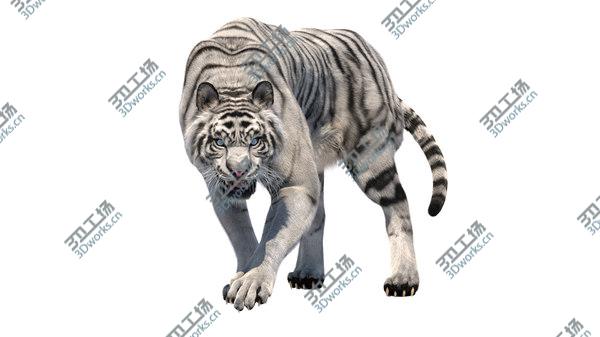 images/goods_img/20210312/3D White Tiger Fur/3.jpg